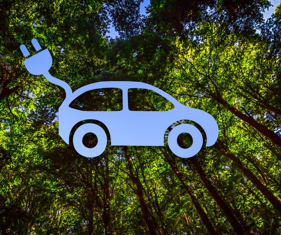 Wald mit einem Logo von einem Auto